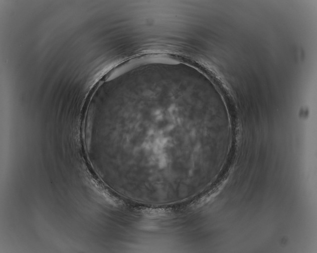 X0000090771121200708031646