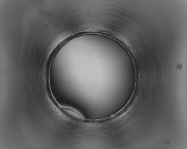 X0000090771122200708031646