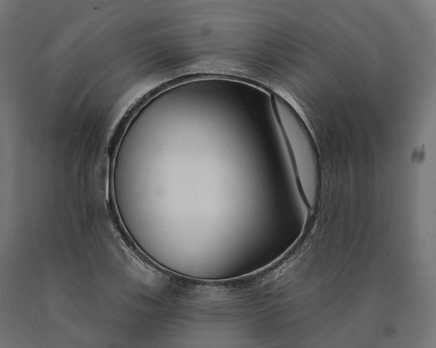 X0000090771123200708031646