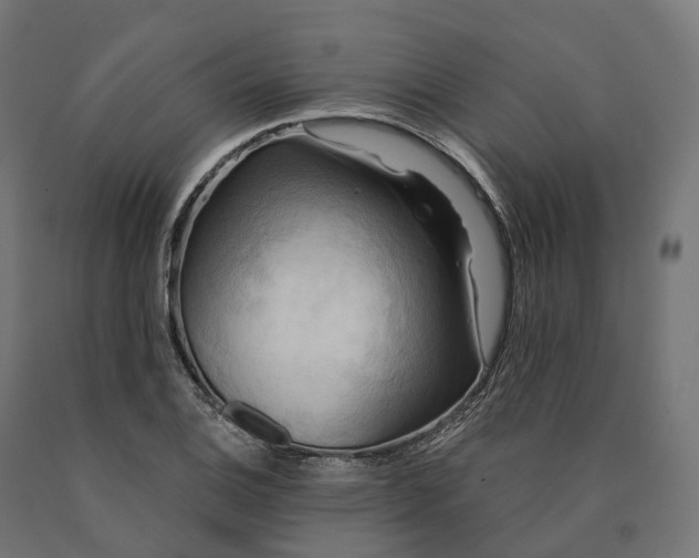 X0000090771124200708031646