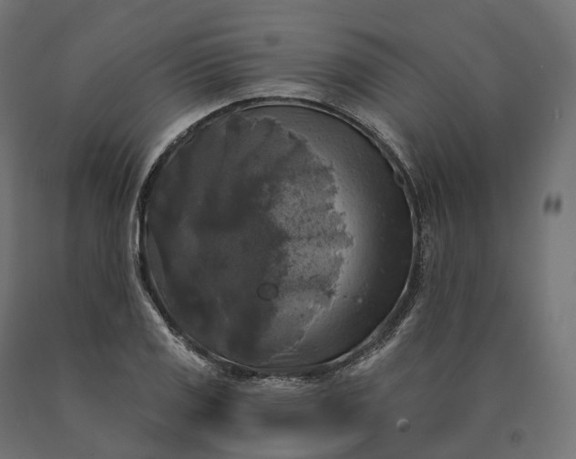 X0000090771125200708031646
