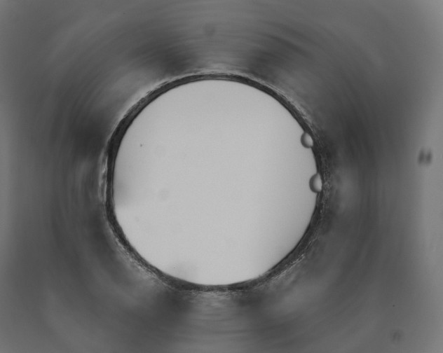 X0000090771126200708031646