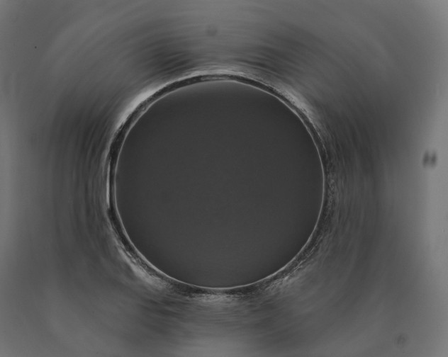 X0000090771127200708031646