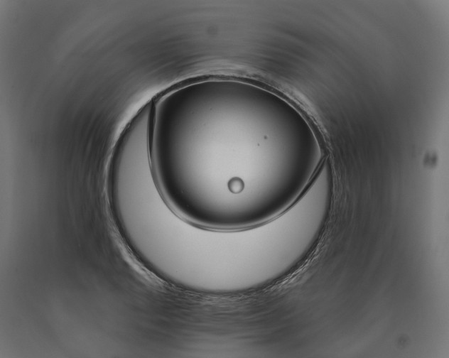 X0000090771128200708031646