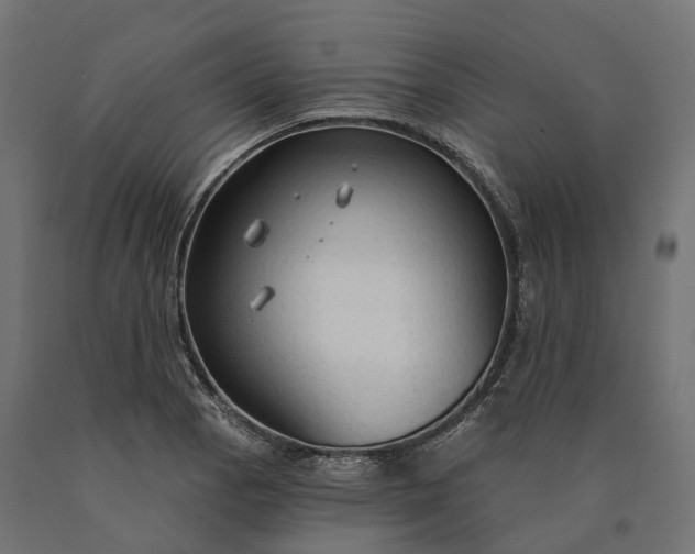 X0000090771129200708031646