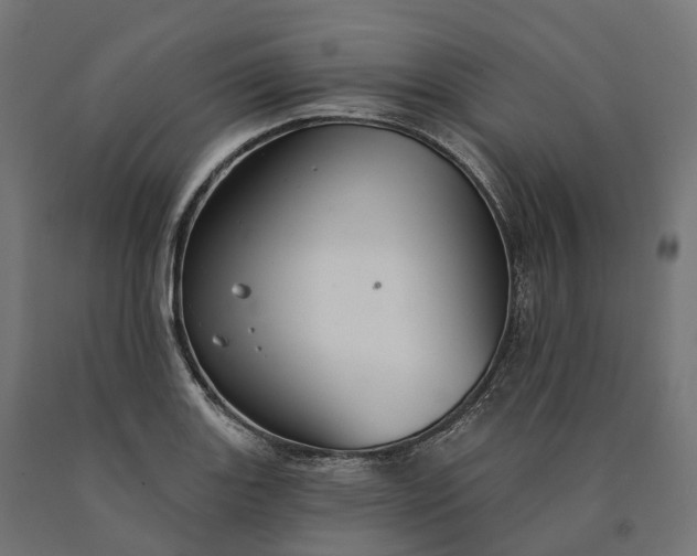 X0000090771131200708031646
