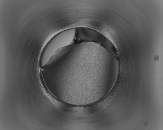 X0000090771132200708031646