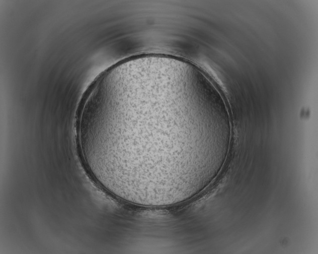 X0000090771133200708031646