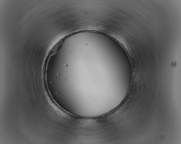 X0000090771135200708031646