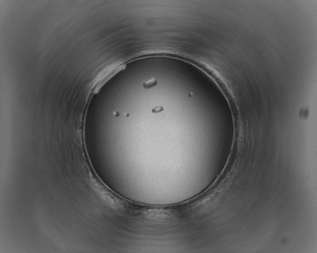 X0000090771137200708031647