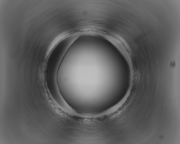 X0000090771138200708031647