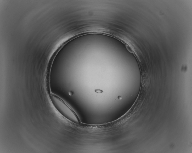 X0000090771139200708031647