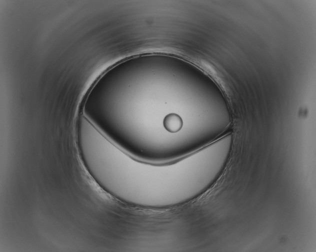 X0000090771140200708031647