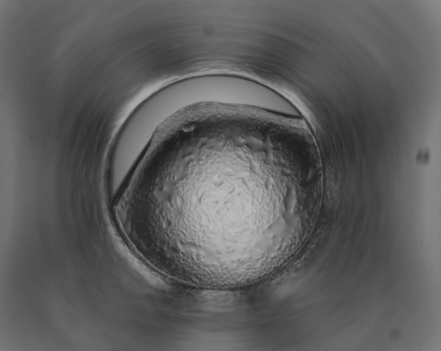 X0000090771142200708031647