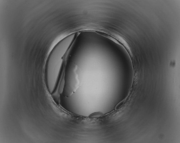 X0000090771146200708031647
