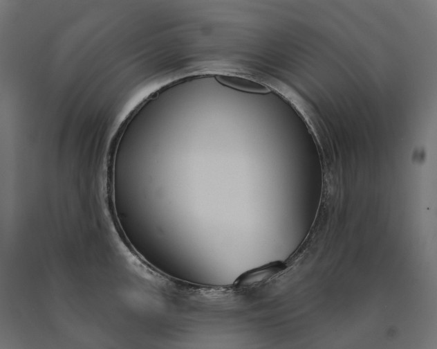 X0000090771147200708031647