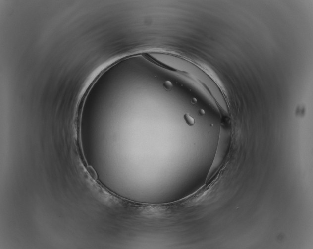 X0000090771148200708031647