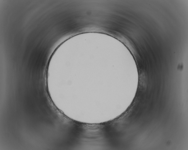 X0000090771150200708031647