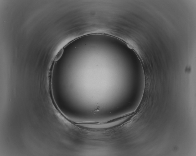 X0000090771151200708031647