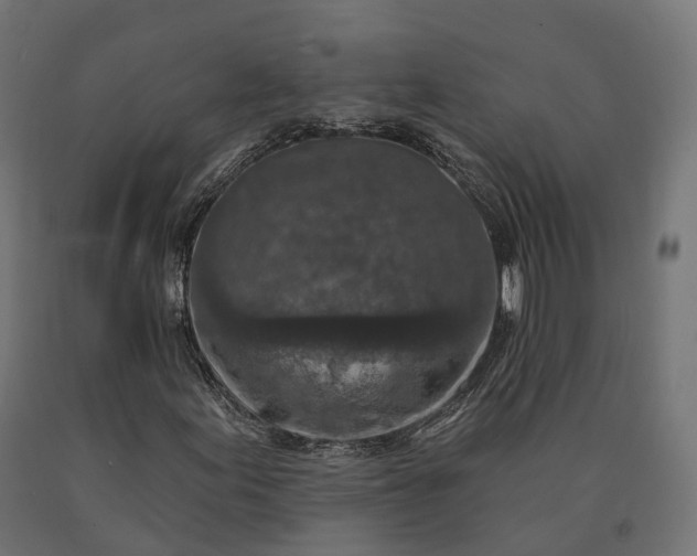 X0000090771155200708031646