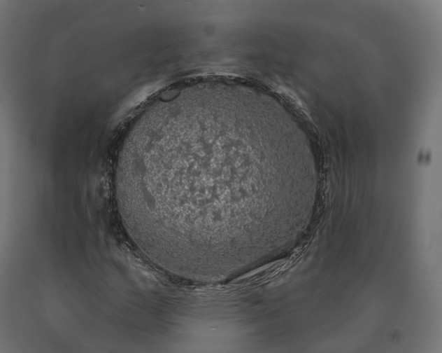 X0000090771159200708031646