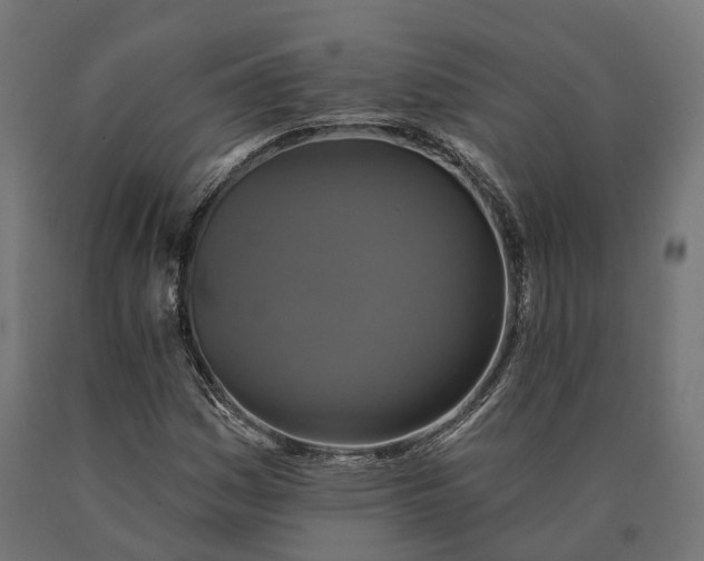 X0000090771161200708031646
