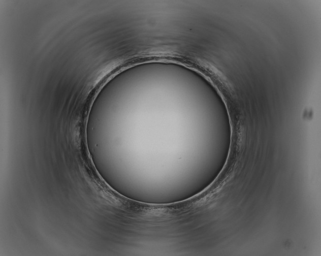 X0000090771162200708031646