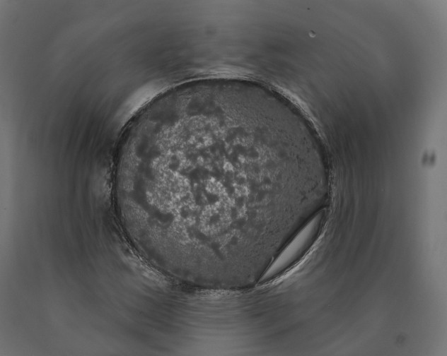 X0000090771163200708031646