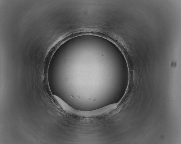 X0000090771165200708031646