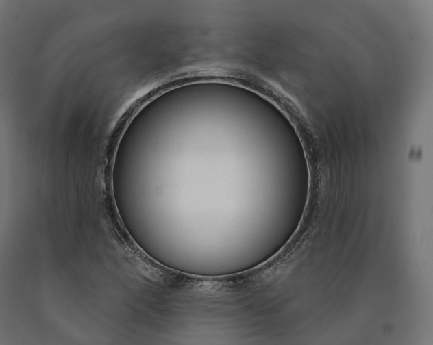 X0000090771166200708031646