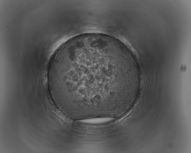 X0000090771167200708031646
