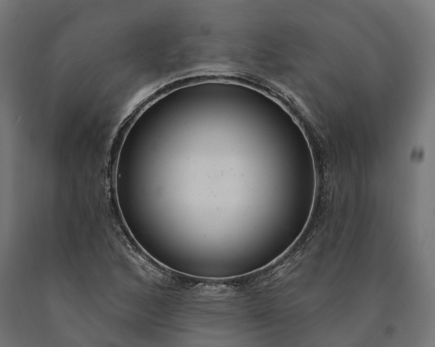 X0000090771168200708031646