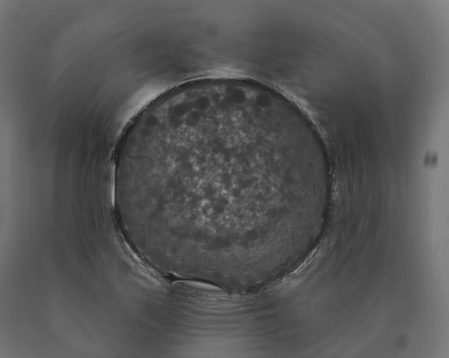 X0000090771171200708031646