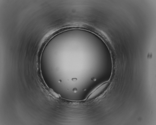 X0000090771172200708031646