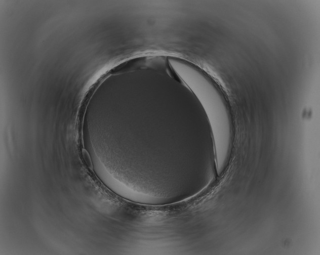 X0000090771173200708031646