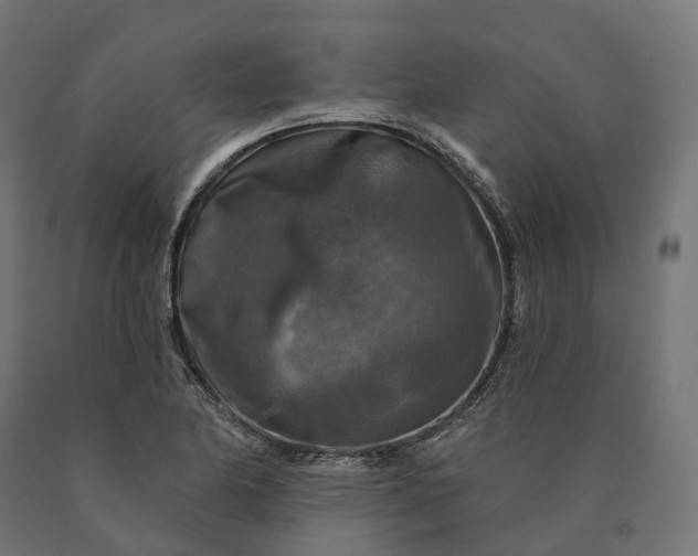X0000090771174200708031646