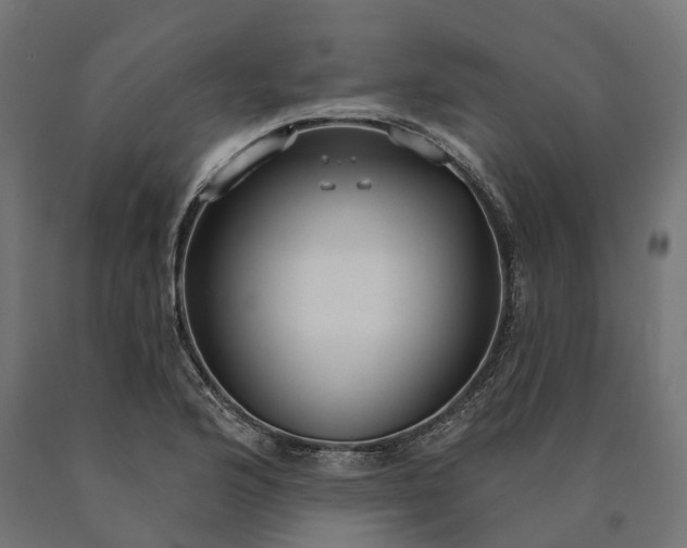 X0000090771176200708031646
