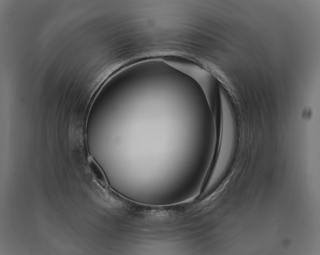X0000090771177200708031646
