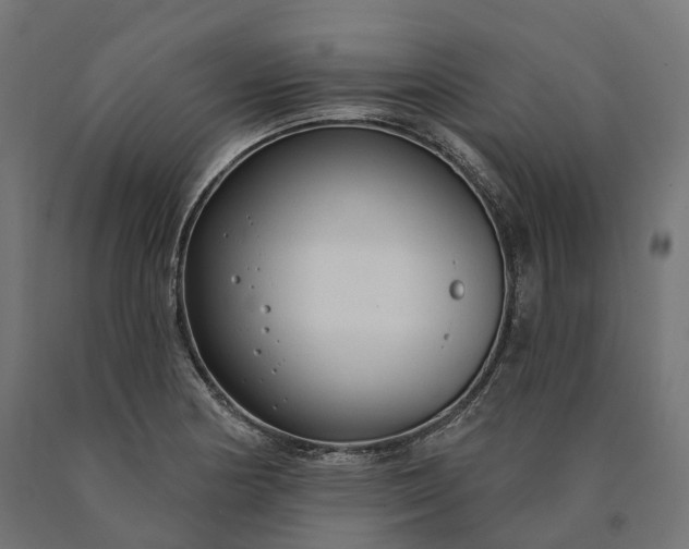 X0000090771178200708031646
