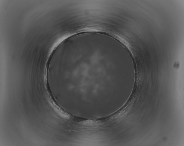 X0000090771179200708031646