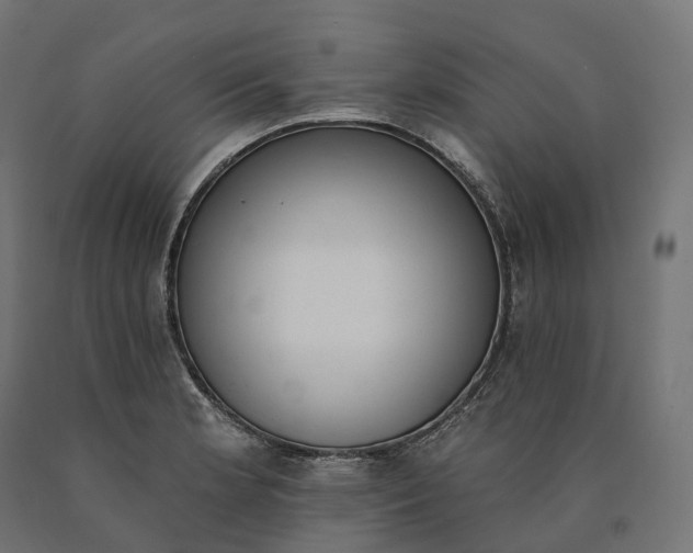 X0000090771181200708031646