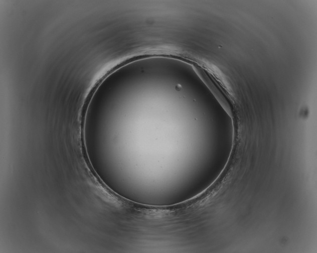 X0000090771184200708031646