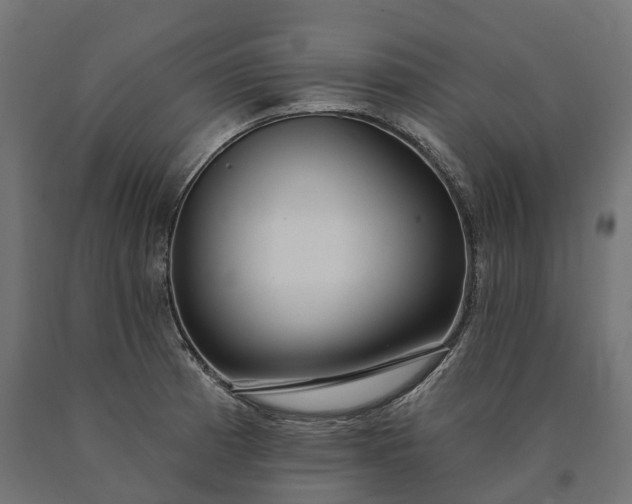 X0000090771185200708031646