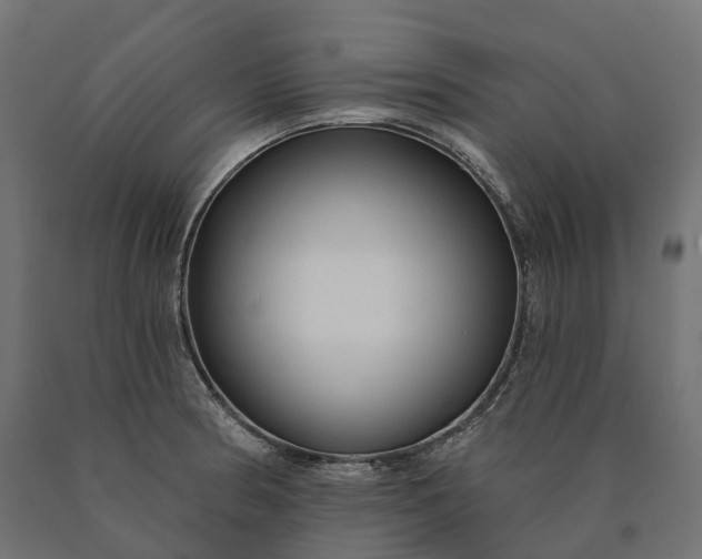 X0000090771186200708031646