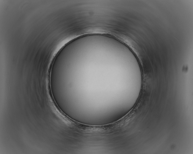 X0000090771187200708031646
