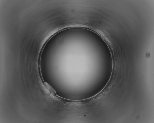X0000090771189200708031646