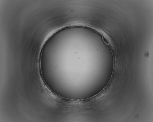 X0000090771191200708031646