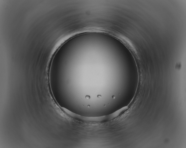 X0000090771192200708031646
