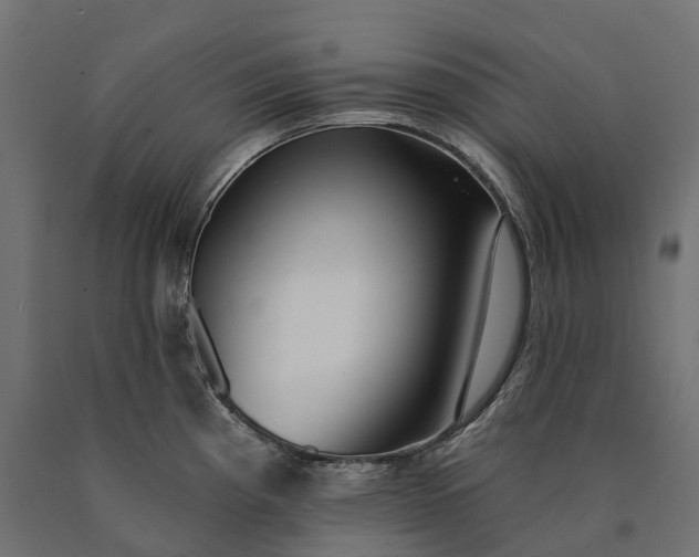 X0000090771193200708031646
