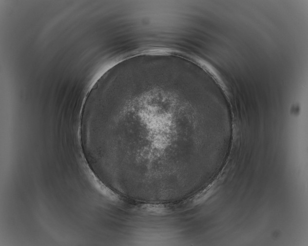 X0000090771194200708031646
